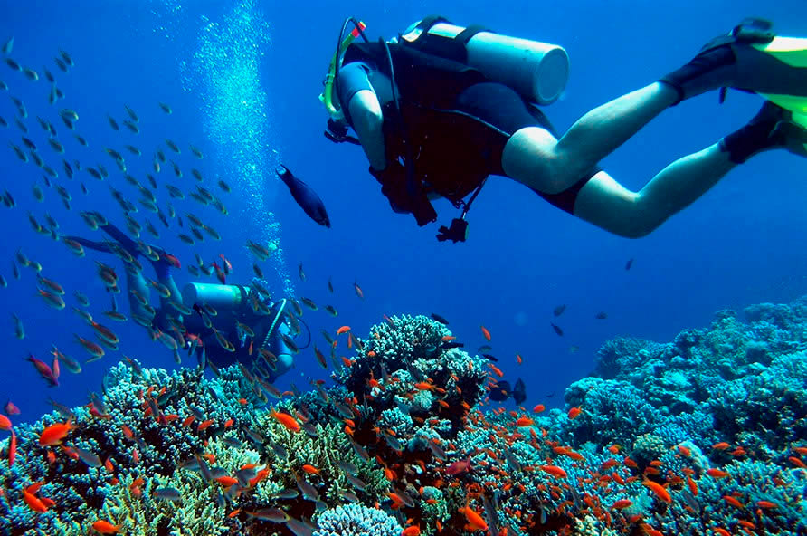 Discover Scuba Diving
